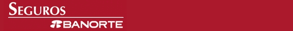 Top Frame Logotipo